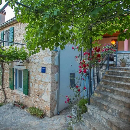 Holiday Mirna 3515 Lozisce